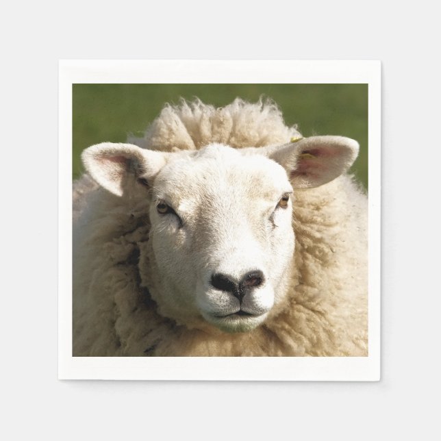 BLAD PAPPERSSERVETT (Framsidan)