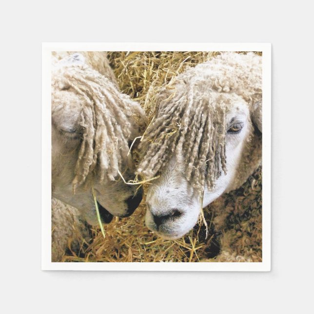 BLAD PAPPERSSERVETT (Framsidan)