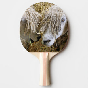 BLAD PINGISRACKET