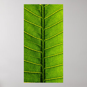 blad poster