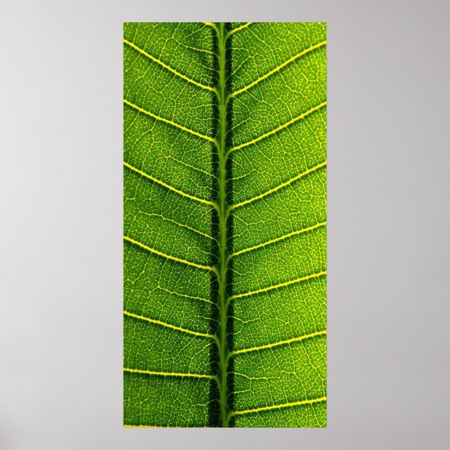 blad poster (Framsidan)