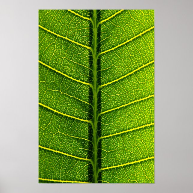 blad poster (Framsidan)