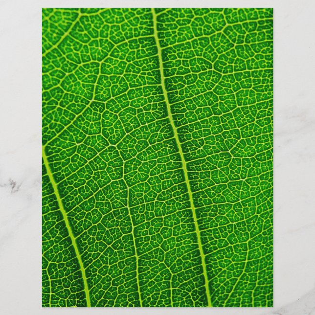 Blad Reklamblad (Framsidan)
