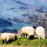 BLAD SILVERPLÄTERAT HALSBAND<br><div class="desc">En vacker digital oljemålning av får, några av de hårt arbetande jordbruksflickorna. Wales UK.</div>