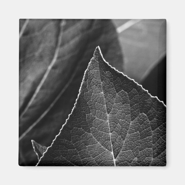 blad som är magnet (Framsidan)