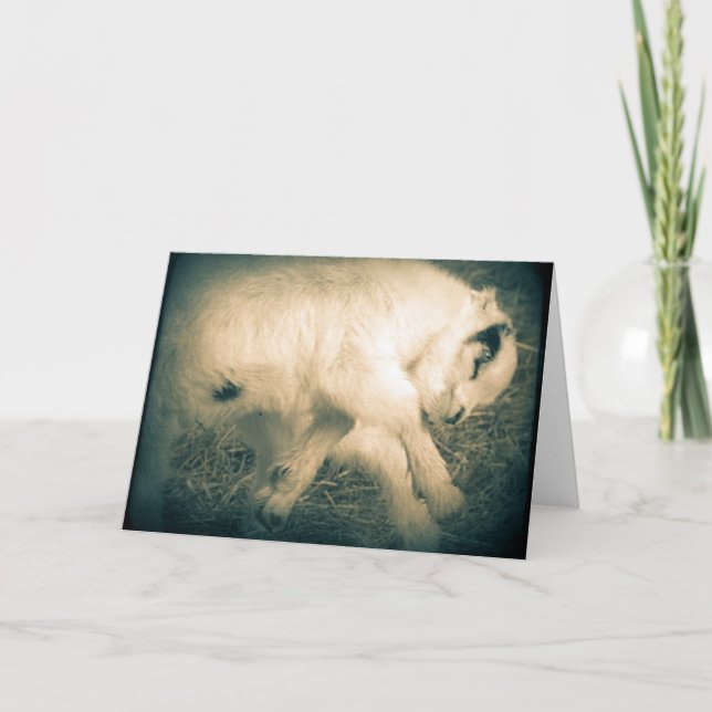 Blad till glädjen kort (Framsida)