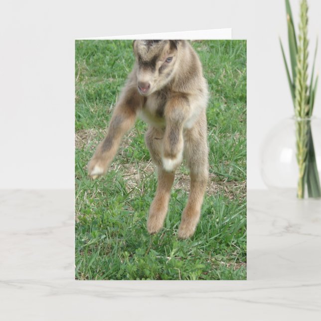 Blad till glädjen kort (Framsida)