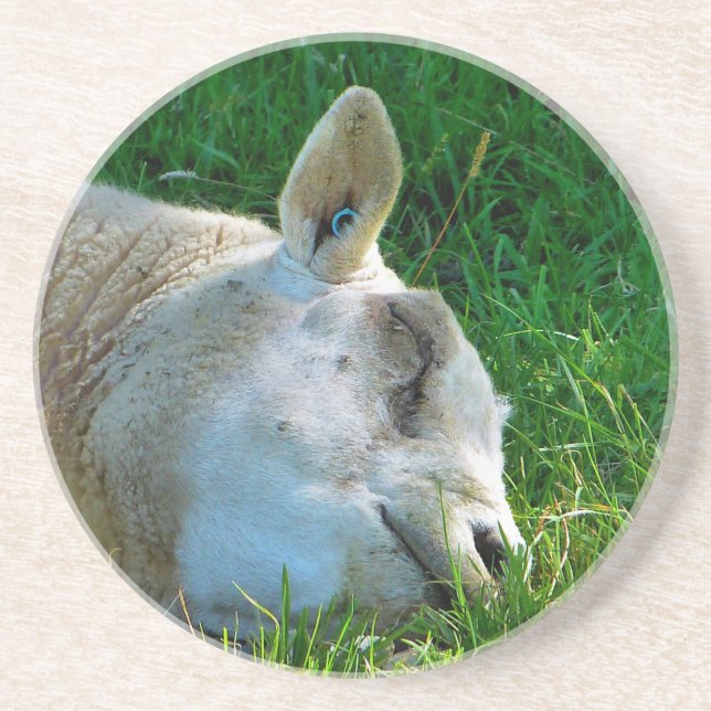 BLAD UNDERLÄGG (Framsidan)