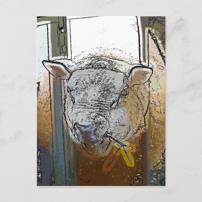 BLAD VYKORT (Framsida)