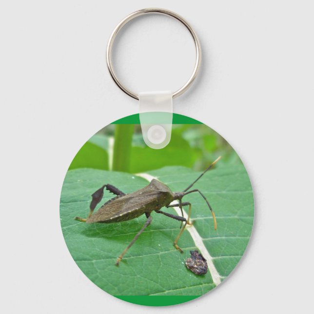 Bladade Kryp-artiklar (Acanthocephala fenorata) Nyckelring (Framsida)