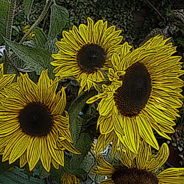 bladbakgrund med stora blommor i gult sol pussel (Skapare uppladdad)