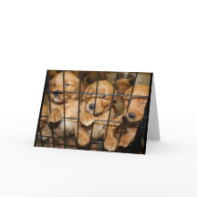 Bläddra ut därifrån! Studenten Humor