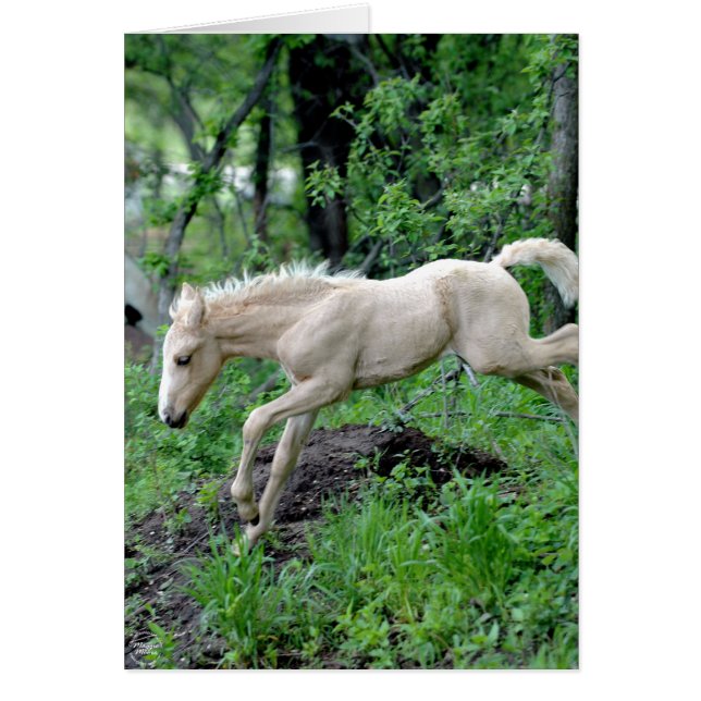 Bladfärg Hälsningskort (Framsidan)