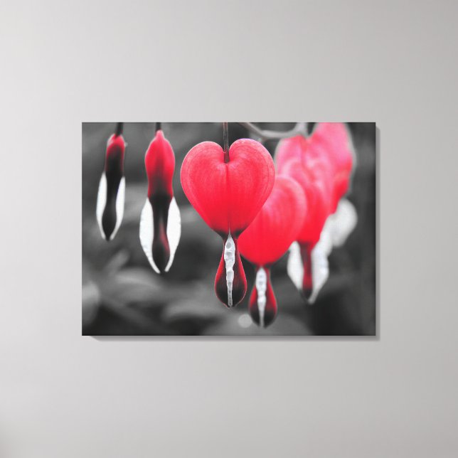 Bladhorter Blommor: Röda Färg Stänk Canvastryck (Framsida)