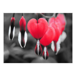 Bladhorter Blommor: Röda Färg Stänk Fototryck