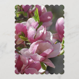 Blådödande Magnolia Inbjudningar