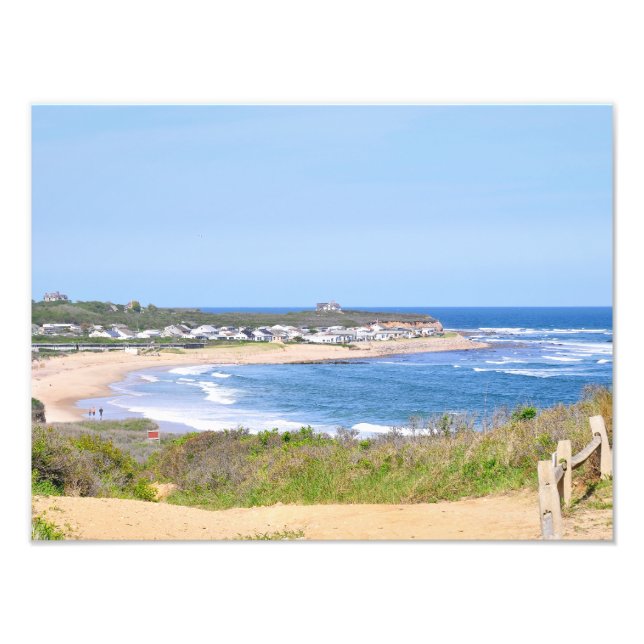 Blådorna i Shadmoor State Park Fototryck (Framsidan)