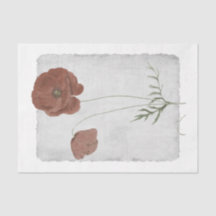 Bladpapper för 35 diskettenhet - avskärmning