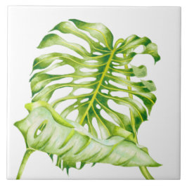 Bladskulpturer på keramiskt plattor (1) kakelplatta