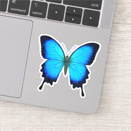 Blådysseus Slegtail Butterfly Contour Sticker Klistermärken