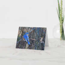 Blåfågel av lyckligt hälsningskort