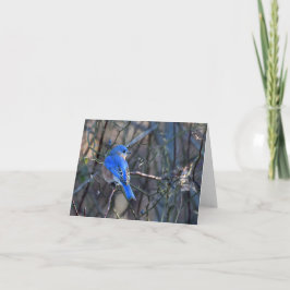 Blåfågel av lyckligt hälsningskort kort