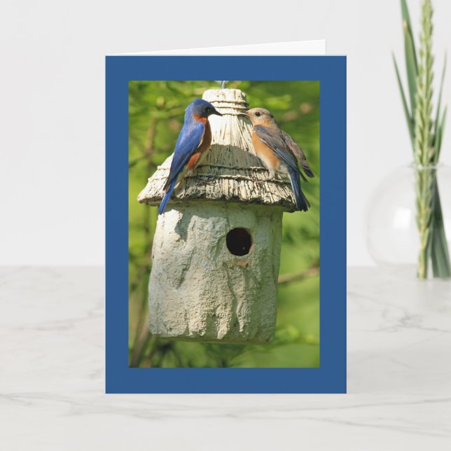 blåfågel jubileumskort kort (Framsida)