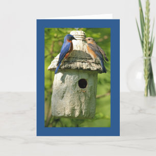 blåfågel jubileumskort kort