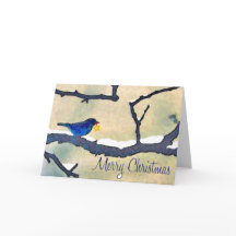 Blåfågel med stjärnjulkort