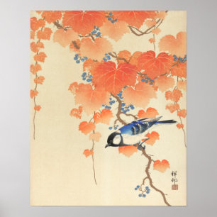 Blåfågel på Paulownia Träd Poster