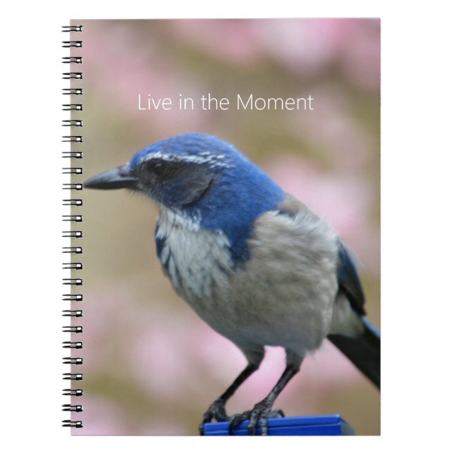 Blåfågel Rosa Blommig (min fotografering) Anteckningsbok (Framsidan)