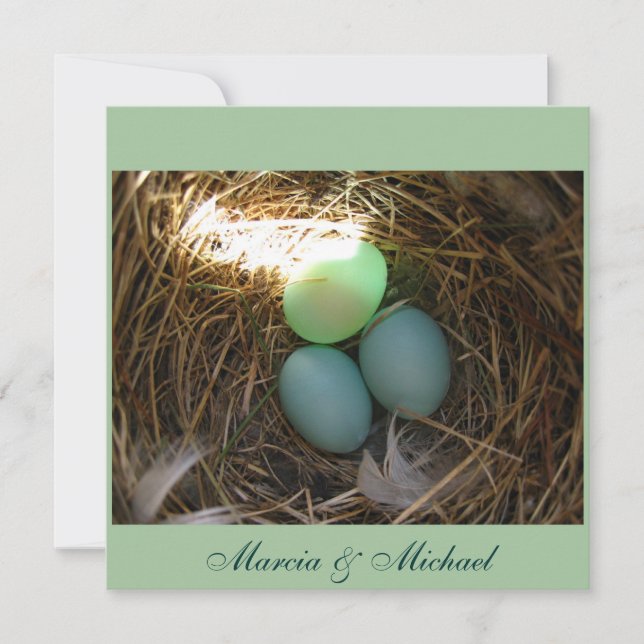 Blåfågelägg tre gånger (Framsida)