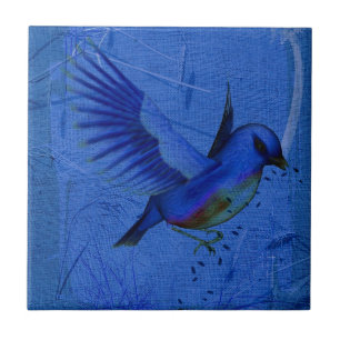 Blåfågelart Art Tile Kakelplatta