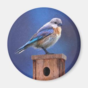 Blåfågelfärg (hondjur) - Originalbild av fågla Magnet