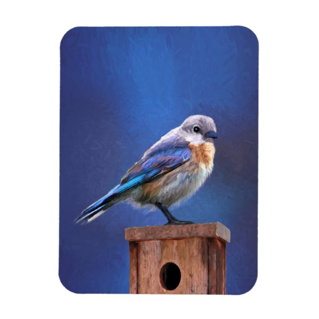 Blåfågelfärg (hondjur) - Originalbild av fåglar Magnet (Vertikal)