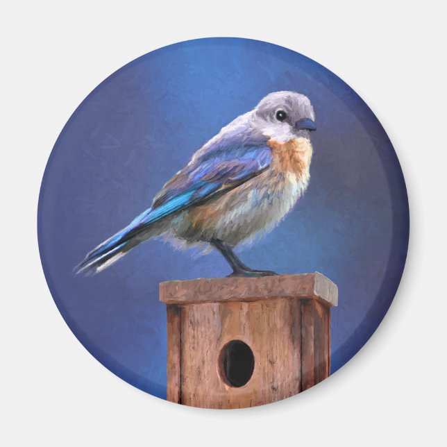 Blåfågelfärg (hondjur) - Originalbild av fåglar Magnet (Framsidan)