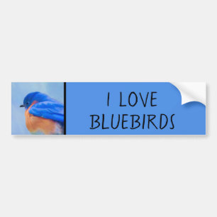 Blåfågelfärg - originalbild av fåglar bildekal