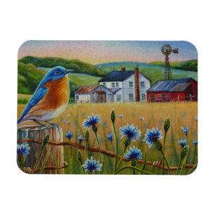 Blåfågelkornblommor Sommarfärgskonst Magnet