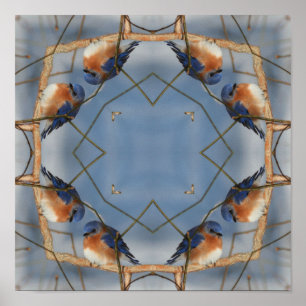 Blåfågelns Abstrakt Kaleidoscope Art Poster