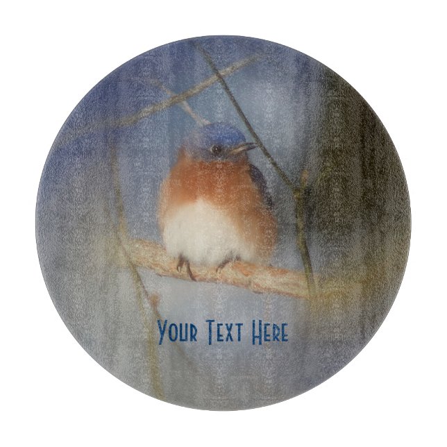 Blåfågelns art (Framsidan)