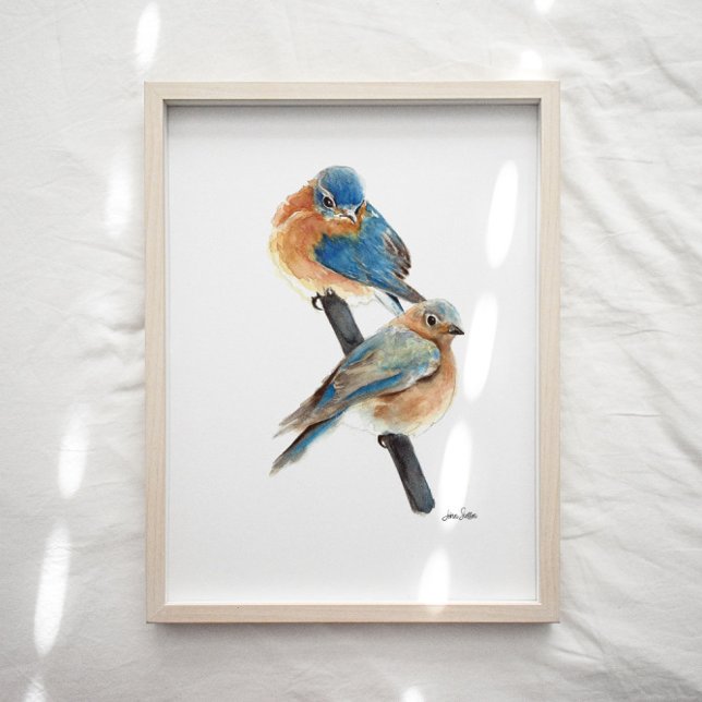 Blåfågelns exempel på vattenfärgsgrafik poster (Bluebird watercolor art print from Jennifer Steffen, Jenn's Emporium. )