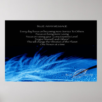 BlåfågelPoster Poster