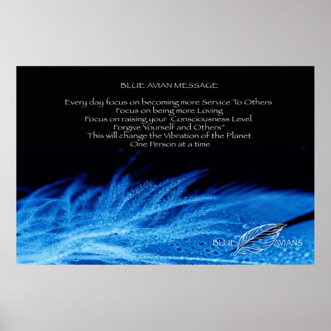 BlåfågelPoster Poster (Framsidan)