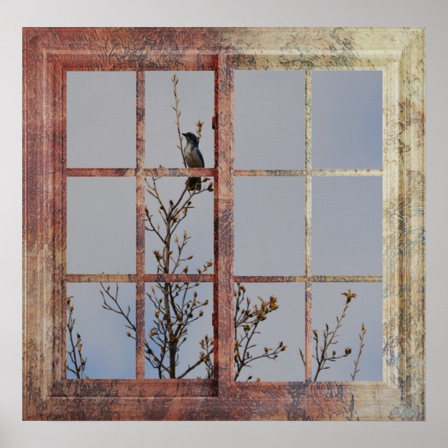 Blåfåglar i fönster poster (Framsidan)