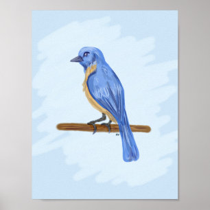 Blåfåglar Poster