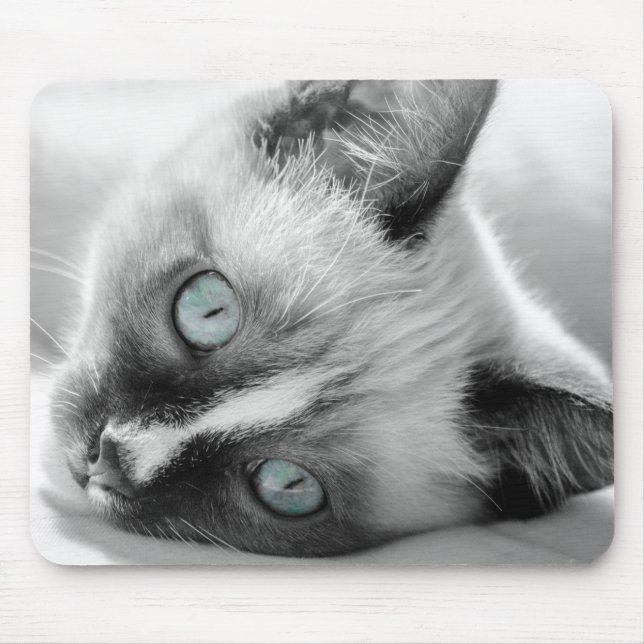 Blåfärgad Kitten Mouse Pad Musmatta (Framsidan)