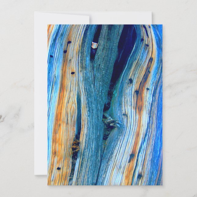 Blåfärgade ladugårdar (Framsida)