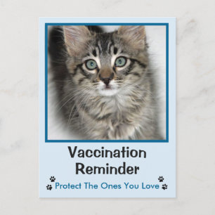Blåfärgat vykort för veterinärvaccination