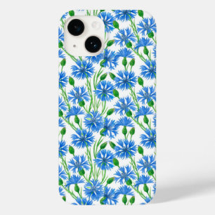 Blåfärgkornblommor, vild blommor på vitt