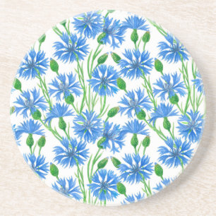 Blåfärgkornblommor, vild blommor på vitt underlägg